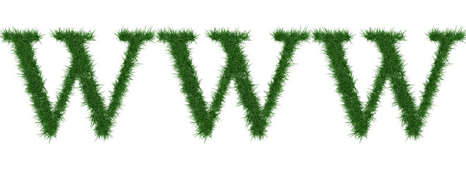 Www - 3D rendering fresh Grass letters isolated on whhite background.