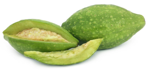Fresh green medicinal haritaki fruits