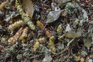  Hierbas y Hojas Secas para Cocinar