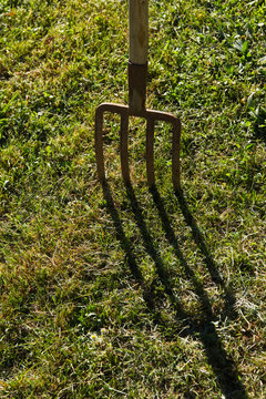 Apero de labranza. Vieja horca clavada en terreno verde con hierba proyectando sombra