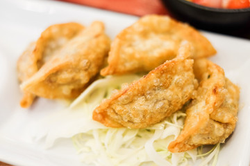 Homemade gyoza with cabbage serve on white plate for chinese food background or texture.