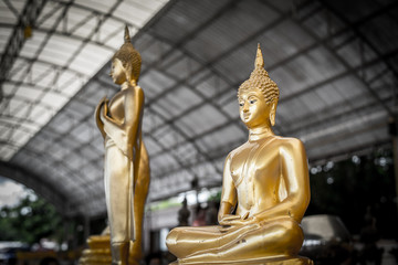 Buddha statue gold color with high contract.