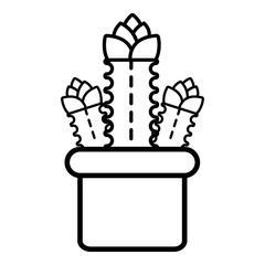 Three cactus icon, outline line style