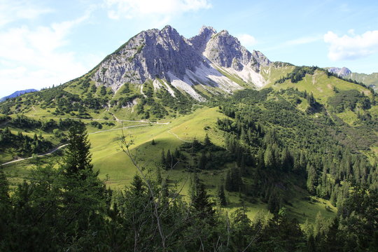 Blick auf die Baumgrenze in den Tannheimer Alpen