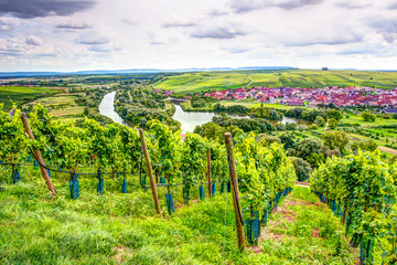 Village of Nordheim in a wine-growing district in Franconia
