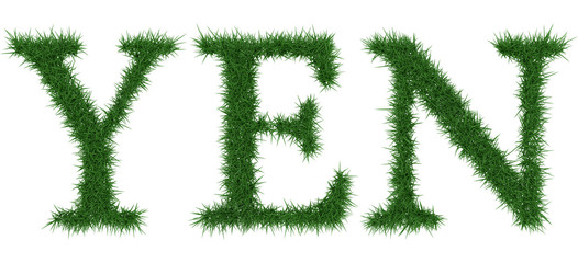 Yen - 3D rendering fresh Grass letters isolated on whhite background.