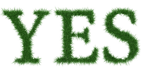 Yes - 3D rendering fresh Grass letters isolated on whhite background.