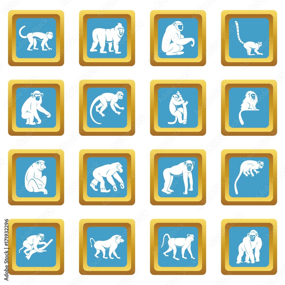 Poster monkey types icons azure