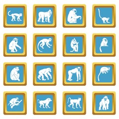 Monkey types icons azure