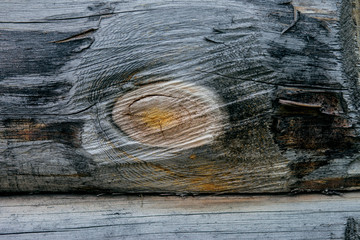  The texture of the wood. Wood planks. Background.