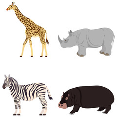 Giraffe, rhinoceros, zebra, hippopotamus. Animals of Africa.