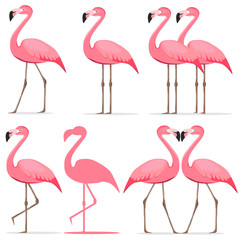 Flamingo, a set of pink flamingos.