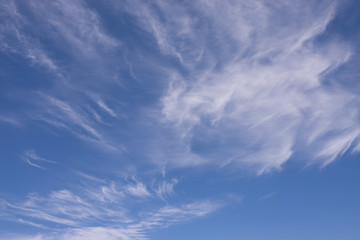 Beautiful cirrus clouds against blue sky