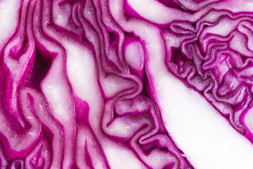 Obraz premium Purple cabbage closeup