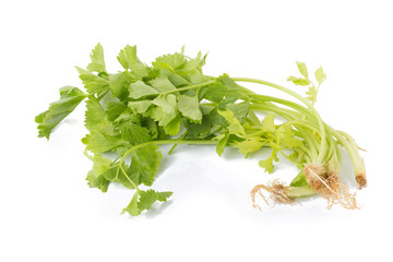 Celery or parsley leaf isolated on white background. Top view