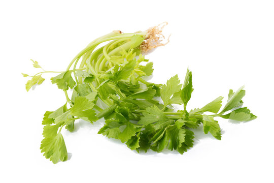 Celery or parsley leaf isolated on white background. Top view