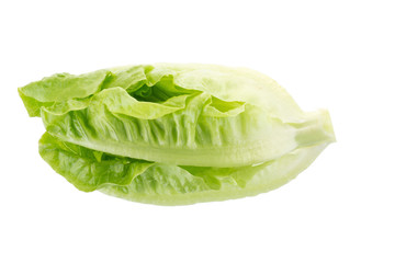 Fresh green cos lettuce Isolated on White Background