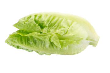 Fresh green cos lettuce Isolated on White Background