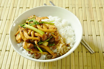 stir fried shimeji mushroom with chicken topping on rice