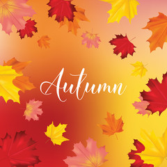 Colorful Card or Banner with Autumn Leaves in Vector with place for Text