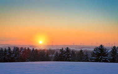 Winter sunset landscape with the frosty forest trees and sunlight beams.