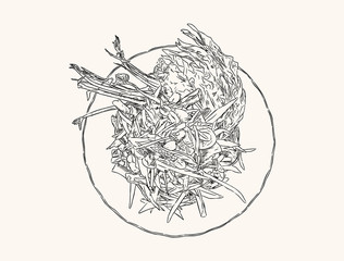 papaya salad or som-tum , hand drawn sketch vector.