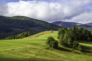Fototapeten Hügel tree on the field in the mountains beautiful landscape  © robertuzhbt89