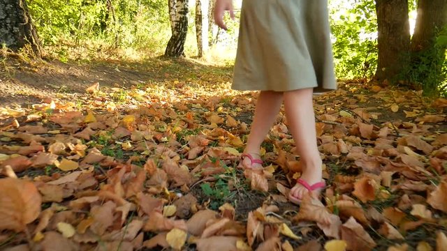 Children's feet go along a forest path.
