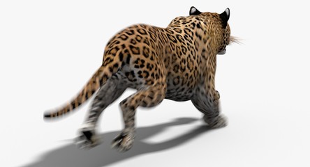 Leopard (3d)
