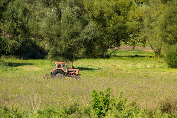 Old red tractor haying in a meadow