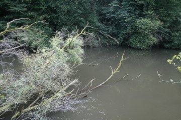 Fluß Wupper