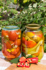 Banks with canned tomatoes and peppers in the oil. On the background of the garden.