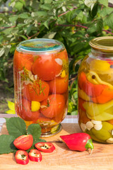 Banks with canned tomatoes and peppers in the oil. On the background of the garden.