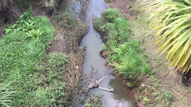 River and water stream pollution in New Zealand. Environmental pollution concept. Copy space 