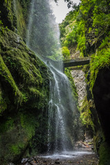 Waterfall in Los Tilos park in La Palma