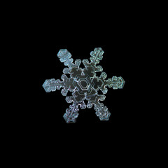 Snowflake isolated on black background. Macro photo of real snow crystal at high magnification:...