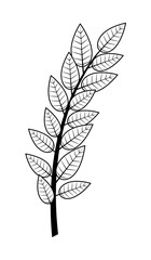 Vector Leaves Branch