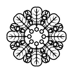 Flourish Snowflake Vector Design