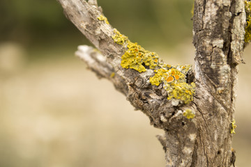 hiking landscapes in almeria