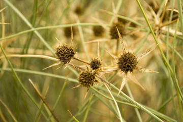 hiking landscapes in almeria