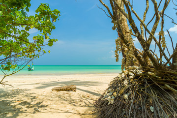 the Caribbean islands