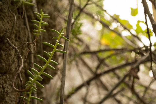 hiking landscapes in almeria