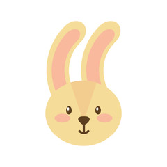 forest rabbit animal wild fauna natural vector illustration