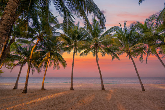 the Caribbean islands