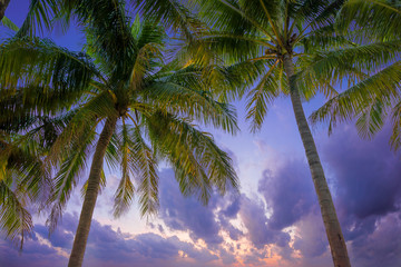 the Caribbean islands