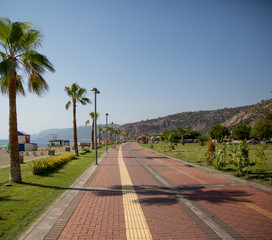 Obraz premium The road in the beach side park for walk and run