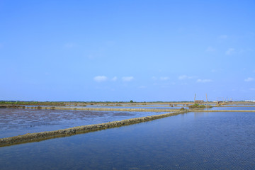 Salt farming Industries