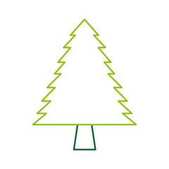 Fototapeta premium pine tree forest natural flora image vector illustration