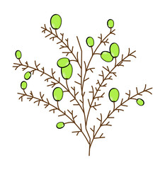 Grapes Plant Vector Element - vector clip-art illustration