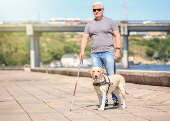 Guide dog helping blind man on embankment